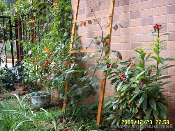 ������С SSL11545.JPG