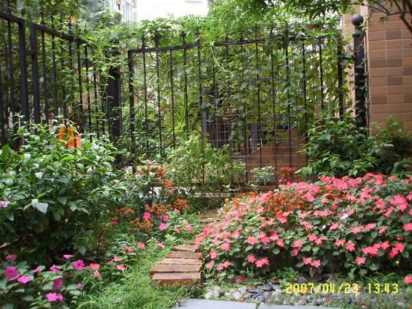 ���µĻ�԰��ݺ�ɲݳ���