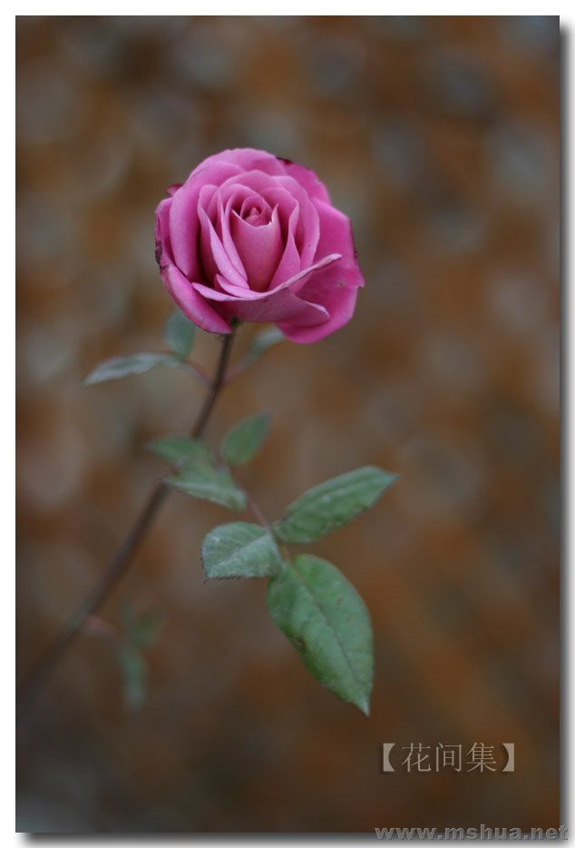 IMG_1080 ����.jpg