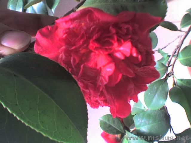 27-01-08_1207.jpg
