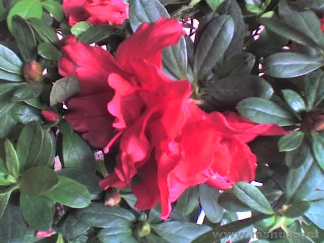 27-01-08_1211.jpg