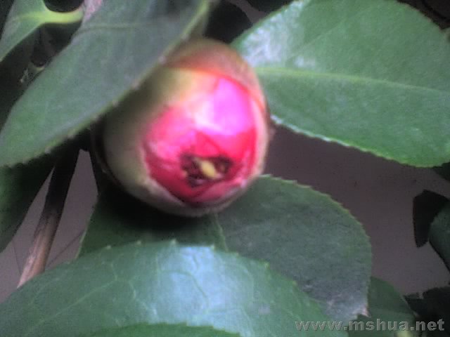 14-01-08_1328.jpg
