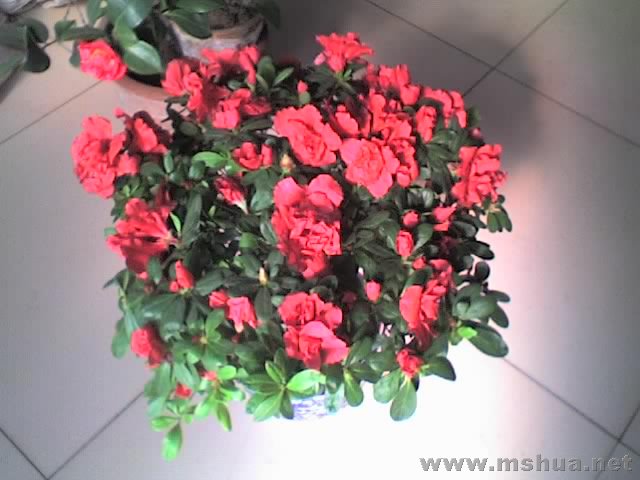 27-01-08_1208.jpg