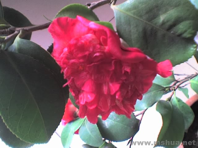 27-01-08_1204.jpg