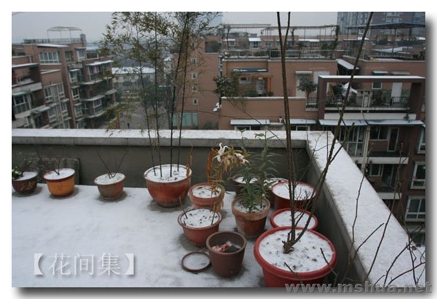 IMG_1265 ����.jpg