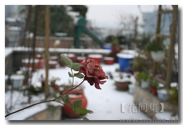 IMG_1271 ����.jpg