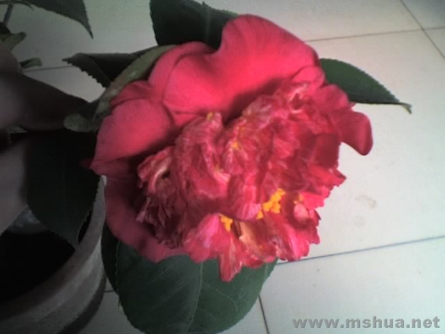 27-01-08_1206.jpg