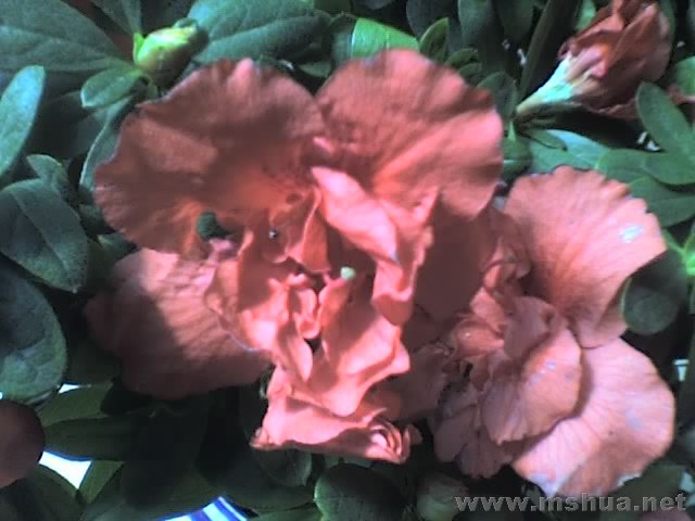 27-01-08_1210.jpg