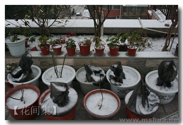 IMG_1267 ����.jpg