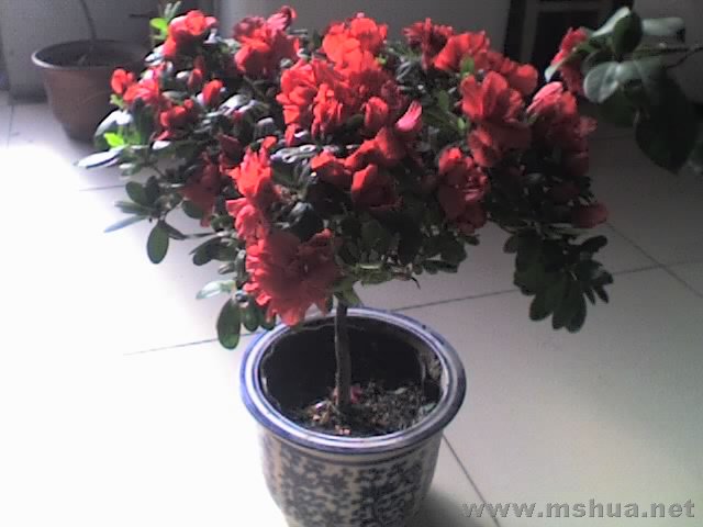 27-01-08_1209.jpg