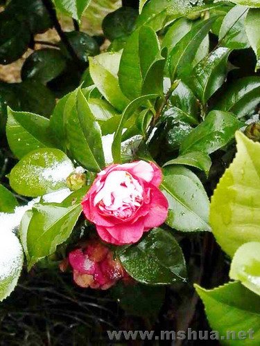 P1010150 ����1.jpg