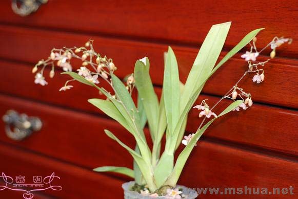 ������ ����.jpg