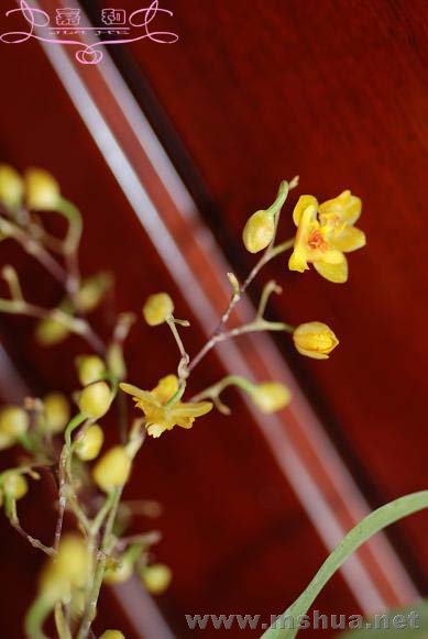 �������� ����.jpg