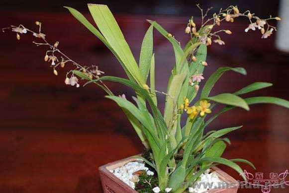 �ۻ����� ����.jpg