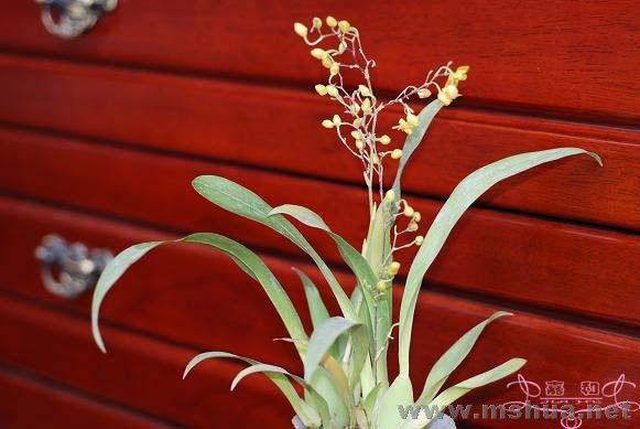 ������ ����.jpg