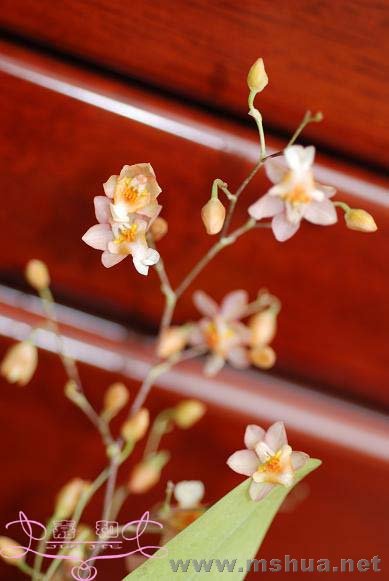 �������� ����.jpg