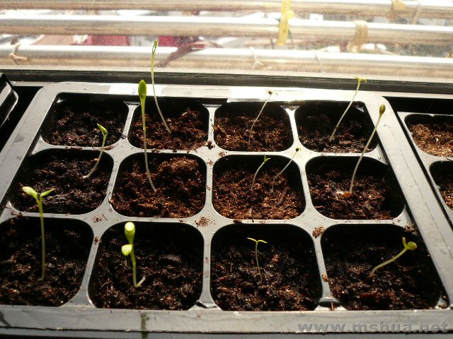 ���ֲݣ���2�ţ��������ǣ�����̨�����������ң�