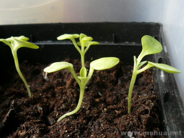 �������Ľ���סһ���ݣ��������������׹��