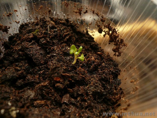 ���������õ��޹�����������