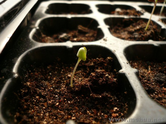 ������ǵ���˭�ˣ����������