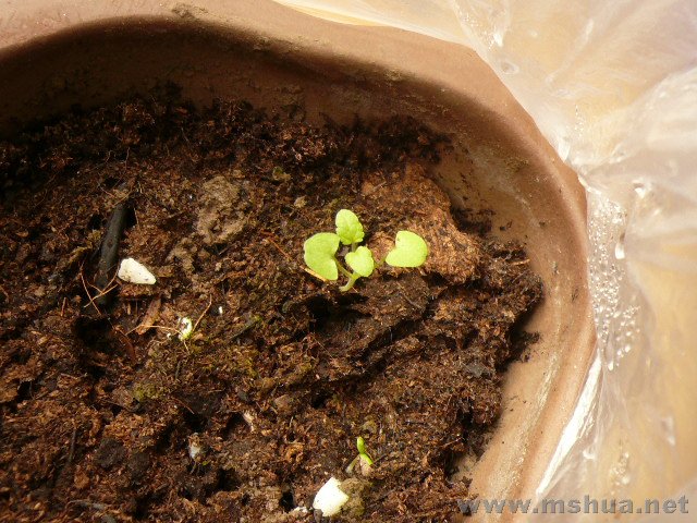 �������ĳ���ɣ����������ϴ���ů