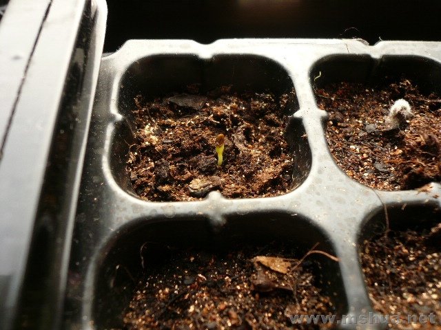 ��ñ�ĸ�»������ѿ�����룬���Զ���һ������һ�����㲻���˭��˭��