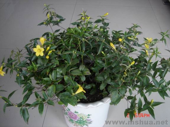 ������С DSC02213.JPG