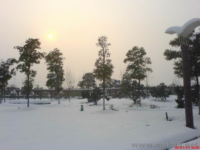 ������С DSC00611.JPG