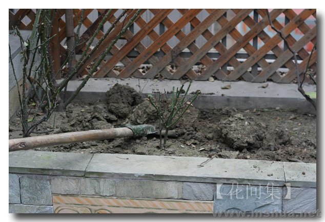 IMG_0177 ����.jpg