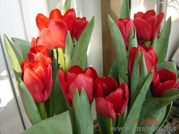 ������С DSC02251.JPG