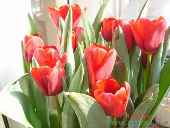 ������С DSC02231.JPG