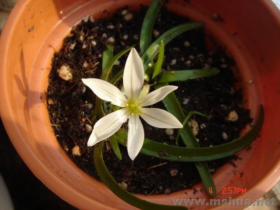 ������С DSC02254.JPG