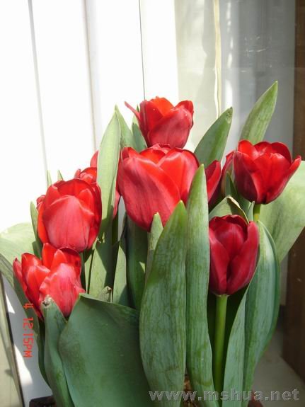 ������С DSC02229.JPG