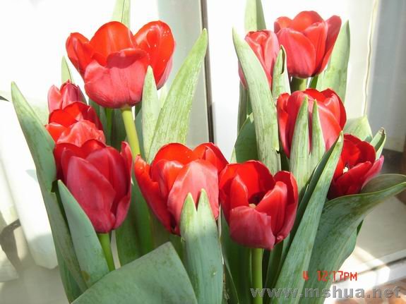 ������С DSC02233.JPG