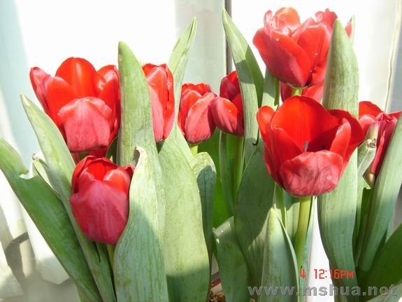 ������С DSC02232.JPG