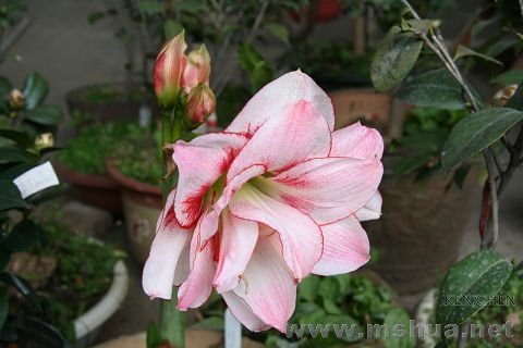 IMG_0030.jpg