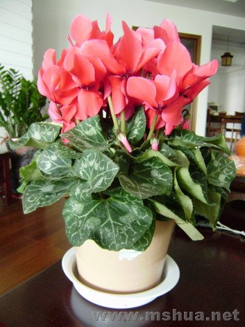 ��ף�ڻ�����������