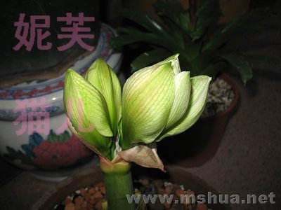 IMG_0626.jpg