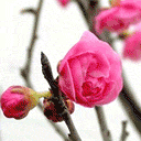 �һ�.gif