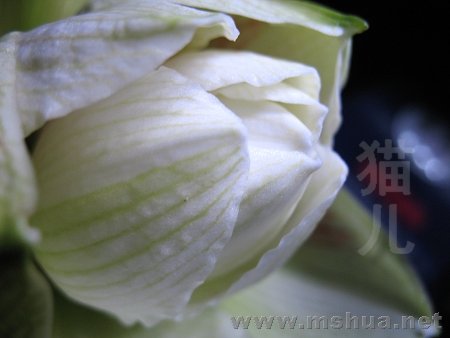 IMG_0660.jpg