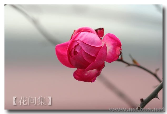 IMG_2558 ����.jpg