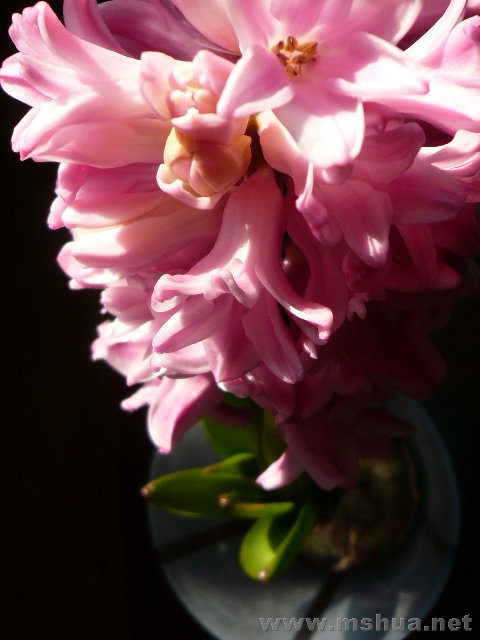 ����û��ȫ��