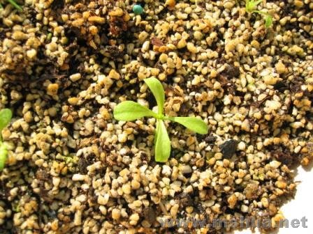 �������~�°�~