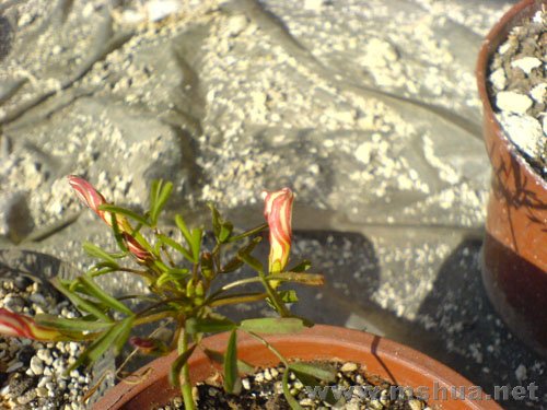 ��Ƭ 056.jpg