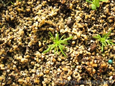 �Ѷȴ�ġ�������ʲô��