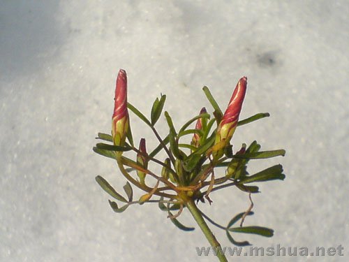 ��Ƭ 025.jpg