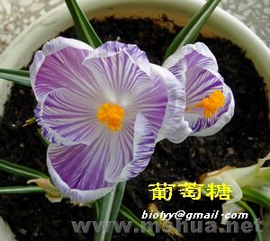 ���컨 ƥ������.jpg