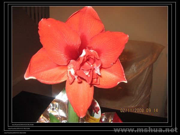 �������ϵ�����