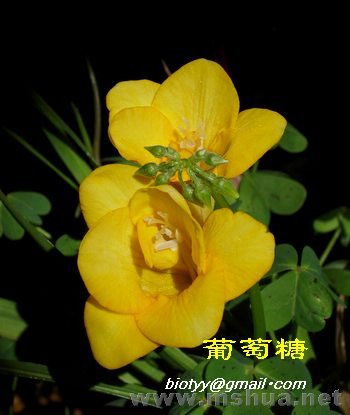 ����̨����ν3�ذ�С����2.11����