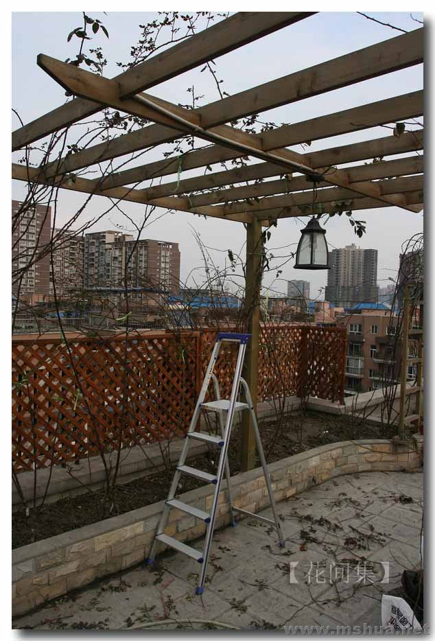 IMG_3154 ����.jpg